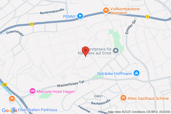 Henseler