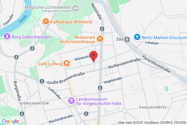 Parkett und Dielen Schleifen Halle