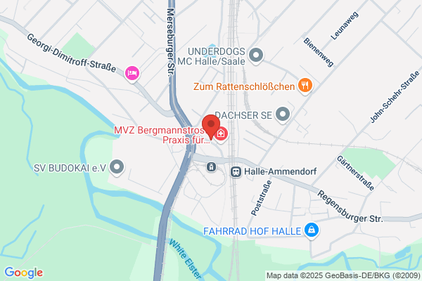 Fahrrad Kopf
