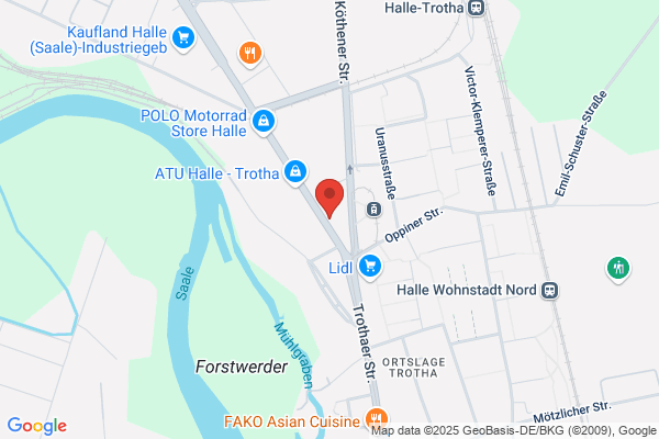 Frank der Zauberer Halle (Saale)