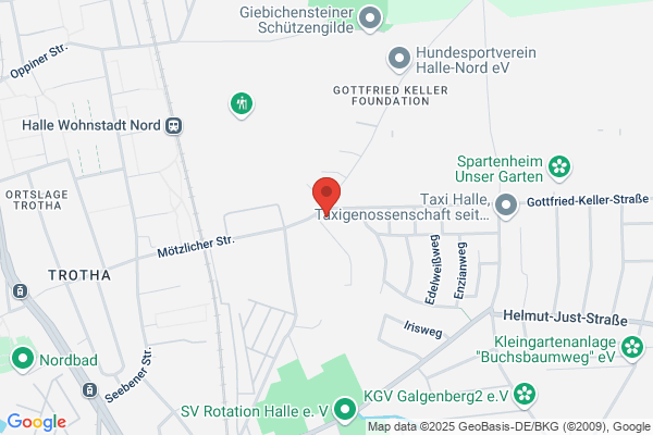 Schneller Teller
