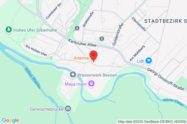 Restaurant Artemis