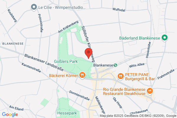 Duden Institut für Lerntherapie Hamburg-Blankenese