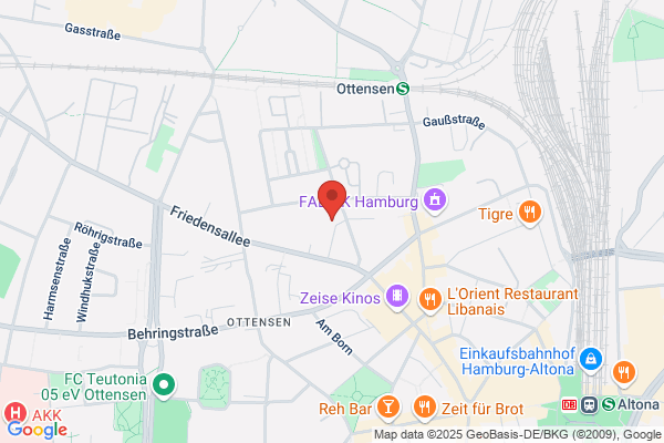 Kampfkatzen