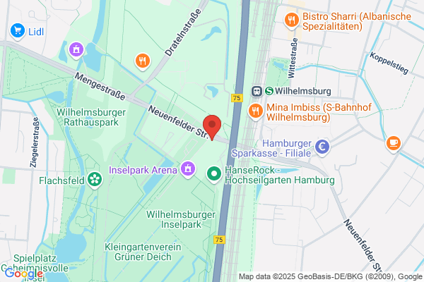 Domino's Pizza Hamburg Wilhelmsburg Inselpark