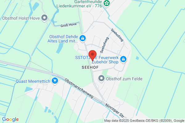 Reingart Service