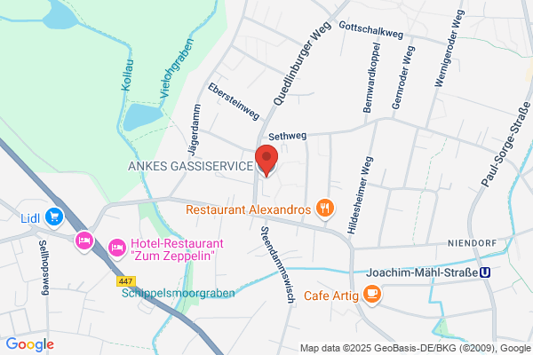 Ankes Gassiservice