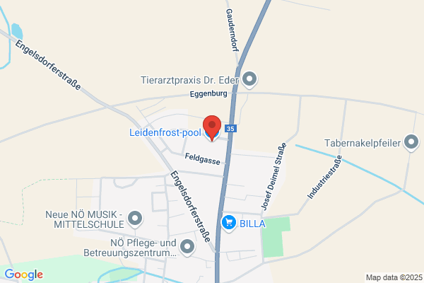 Leidenfrost Personallösungen