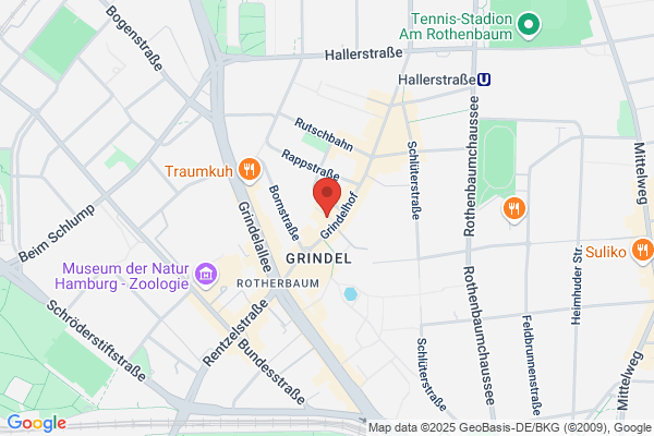 Otto's Burger - Grindelhof