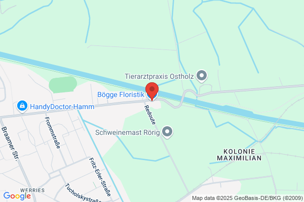 Bögge Floristik