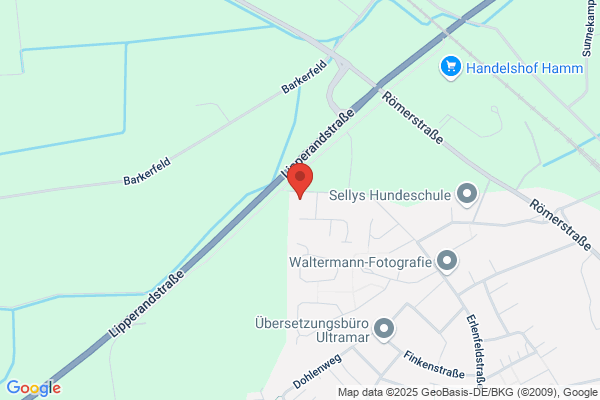 Westfalen IT