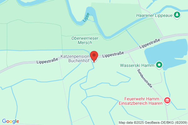 Katzenpension Buchenhof