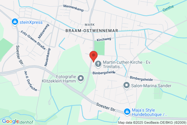 Senfkorn (Kita)