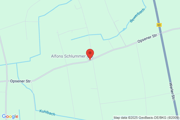 Alfons Schlummer