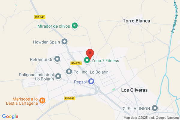 Gomariz Sistemas de Elevacion SL
