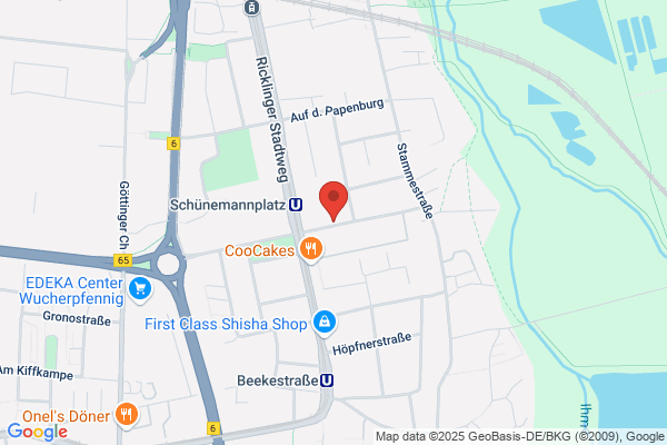 Auto Check Ricklingen