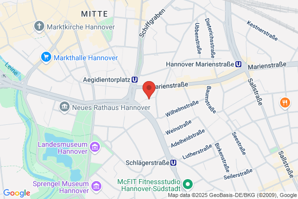 CENIBO Business Interface Germany