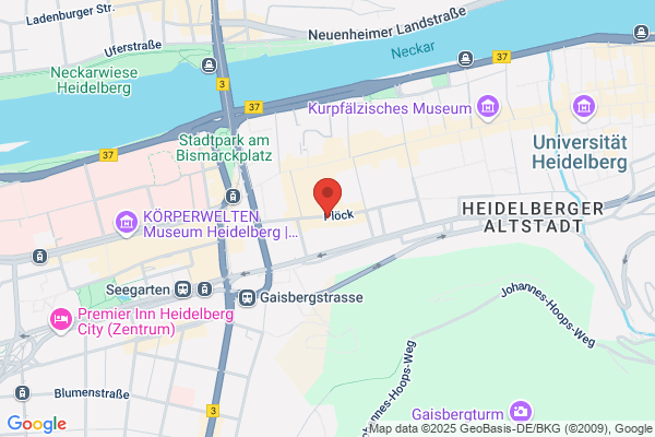 Heidelberger Internet-Café