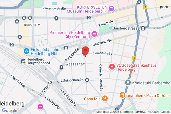 Jugendagentur Heidelberg-Bildung, Kultur und