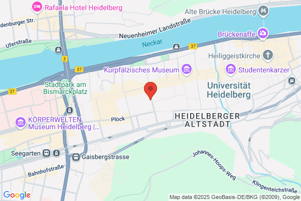 Perspektivenwechsel Heidelberg
