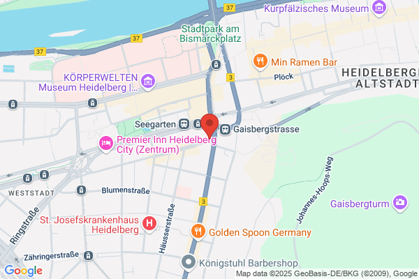 DATA REVERSE® Datenrettung Heidelberg