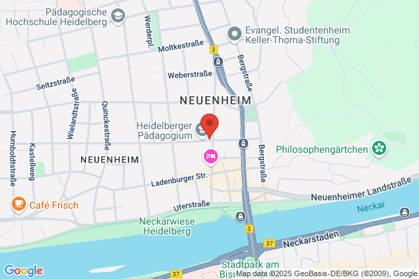 Neuroconsult