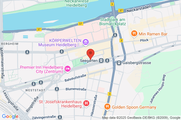Stadtresidenz Heidelberg