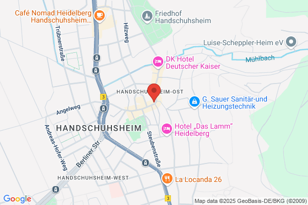 Zum Löwen Handschuhsheim