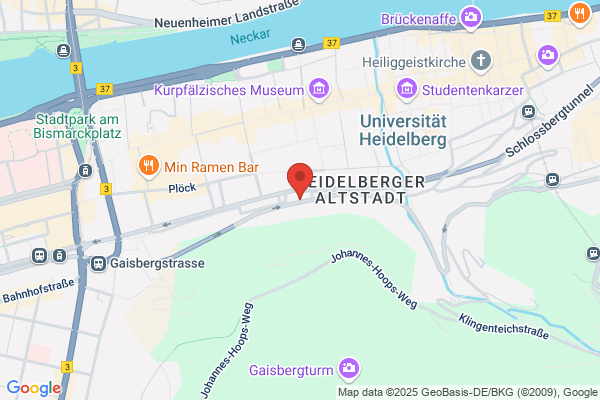 Heidelberger Frühling gGmbH