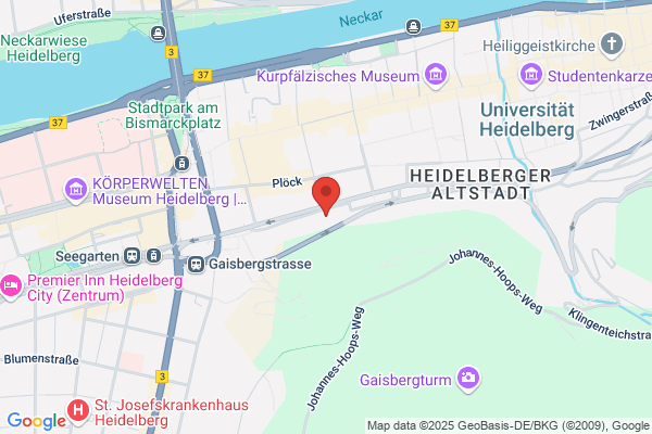 Freie Musikschule Heidelberg