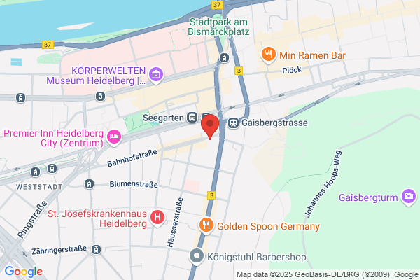 Heidelberg in Bewegung