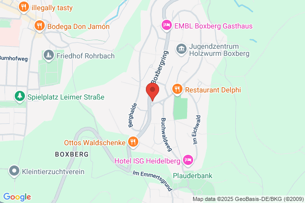 Bortsch
