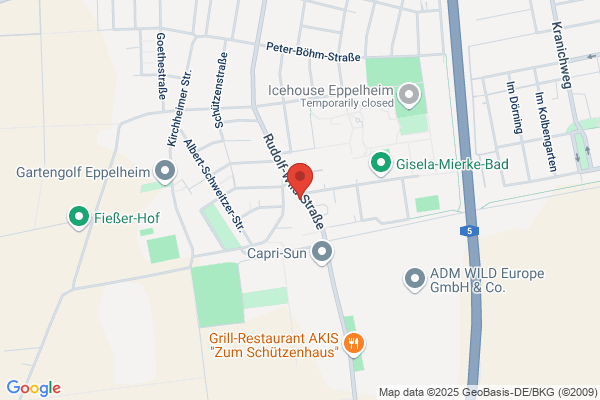 Schwimmschule Flipper Heidelberg