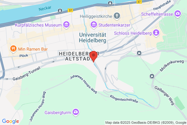 Theaterwerkstatt Heidelberg e.V.
