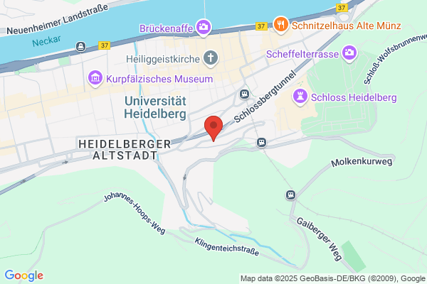Delta Umzüge GmbH