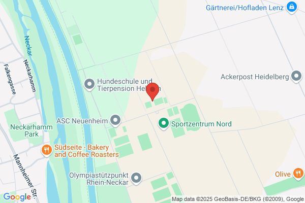 TSV Handschuhsheim KiSS Kindersportschule