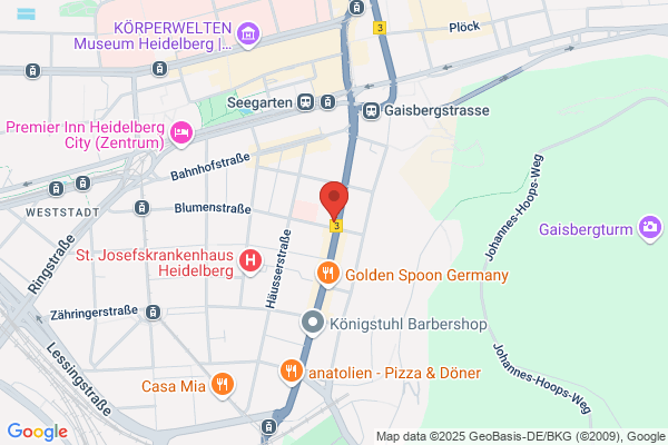 HSG Heidelberger Steuerberatungsgesellschaft mbH