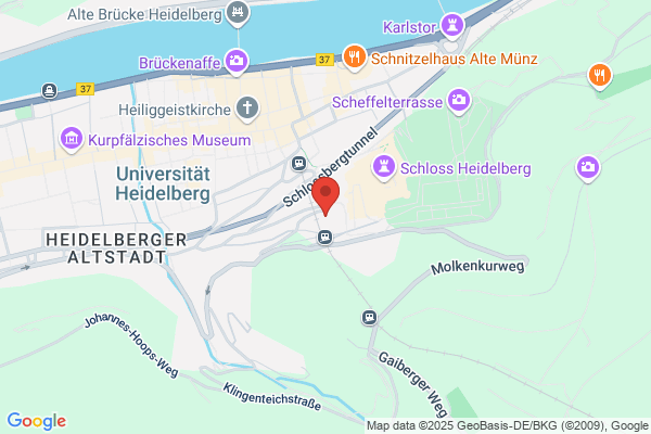 P & M Wirtschaftsber. u. Verm.v. Finanzdienstleistungen GmbH