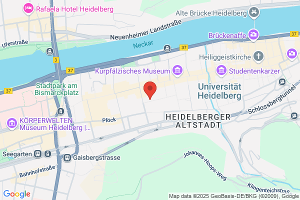 Steinbeis