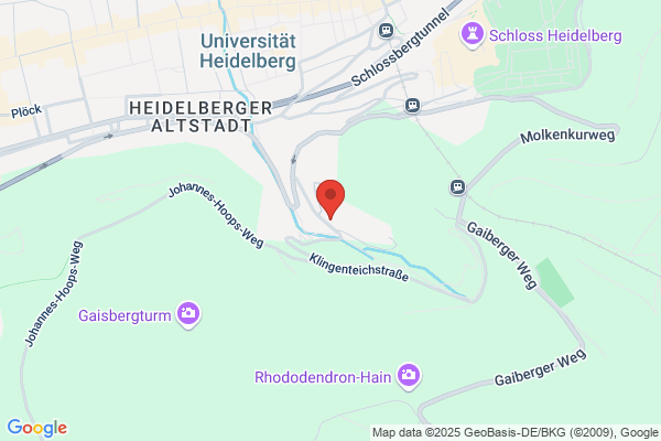 Erlebnisführungen Heidelberg