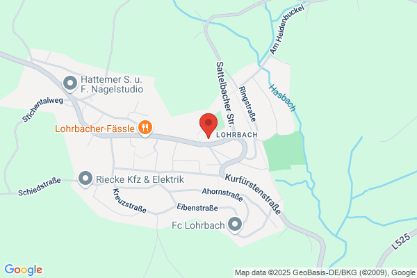Luftsportfreunde Deutschland Fallschirmspringen, Ballonfahrten, Rundflüge,