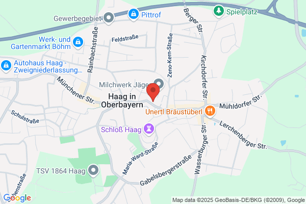 ECOVIS Wirtschaftstreuhand GmbH Wirtschaftsprüfungsgesellschaft, Niederlassung Haag