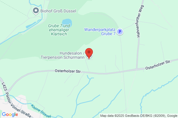 Hundesalon /Pension Schürmann Yvonne