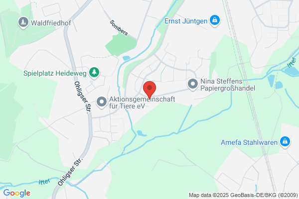 managementplus GmbH
