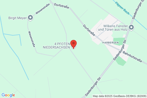 Haustierservice 4 Pfoten