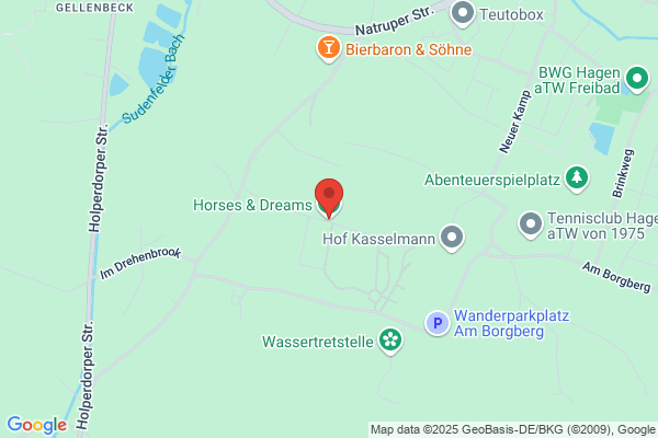 Horses and Dreams Entertainment GmbH
