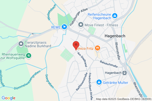 Danzante - Schule für klassischen und modernen Tanz Hagenbach
