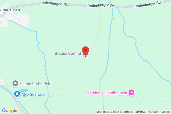 Brauns Control GmbH