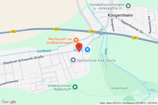 ERGO Versicherung Frank Frosch
