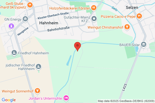 Freiballon-Sportschule A. + R. Mathes GmbH